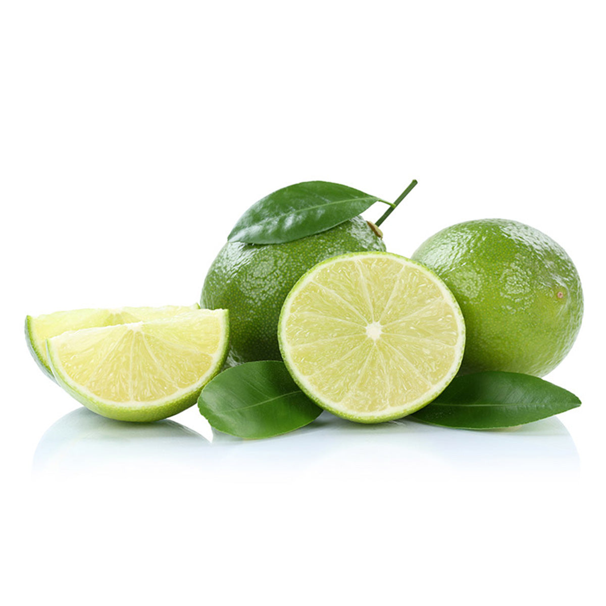 Lime Trees For Sale - MadisonCitrusNursery.com – Madison Citrus