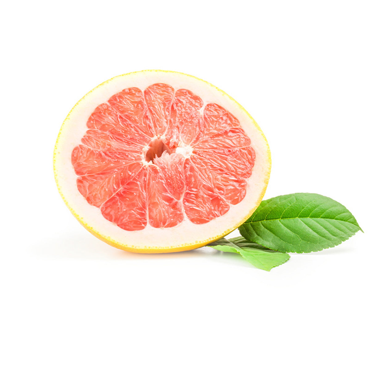 Pummelo Trees For Sale Madison Citrus Nursery