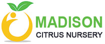 Madison Citrus Nursery