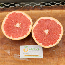 Load image into Gallery viewer, Star Ruby Grapefruit Tree