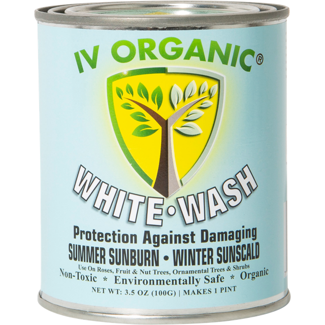 IV Organic - White Wash