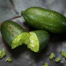 Load image into Gallery viewer, Australian Finger Lime Tree