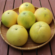 Load image into Gallery viewer, Chandler Pummelo Tree