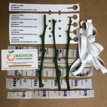 Load image into Gallery viewer, Meyer Lemon Improved - Certified Citrus Budwood
