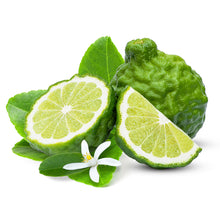 Load image into Gallery viewer, Kaffir Lime Tree
