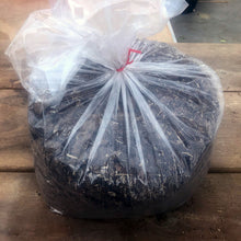 Load image into Gallery viewer, Custom Citrus Potting Mix