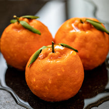 Load image into Gallery viewer, Ponkan Mandarin Tree - 3 Gallon
