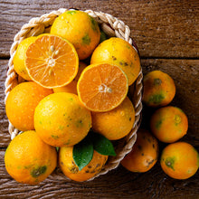 Load image into Gallery viewer, Rangpur Lime Tree