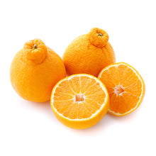 Load image into Gallery viewer, Shiranui Mandarin Tree