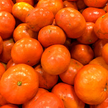 Load image into Gallery viewer, Sunburst Tangerine Tree