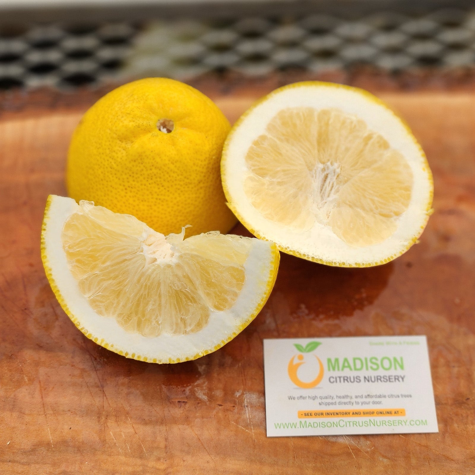Cold Hardy Citrus – Page 2 – Madison Citrus Nursery