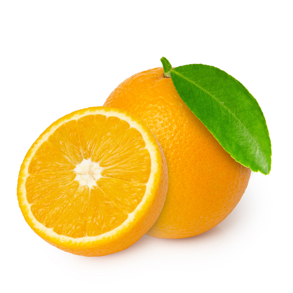 Valencia Orange Trees for Sale Madison Citrus Nursery